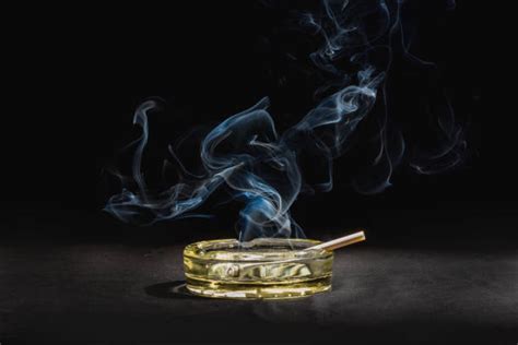 9400 Cigarette Smoke Ashtray Stock Photos Pictures And Royalty Free