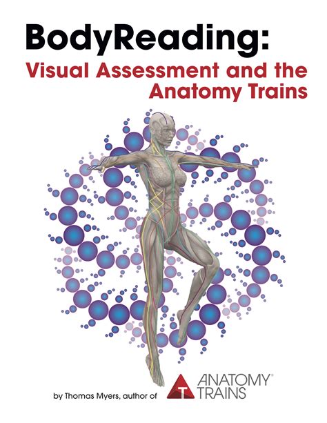 Book Release Tom Myers Bodyreading Visual Assessment And The Anatomy