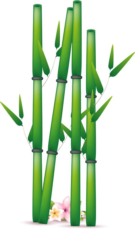 One Clipart Bamboo, One Bamboo Transparent Free For - Bamboo Leaf Bamboo Free Clipart - Png ...