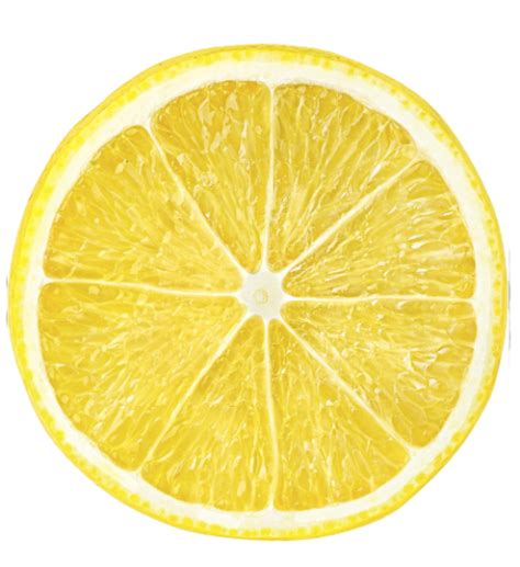 Lemon Slice Png Posted By Ethan Cunningham