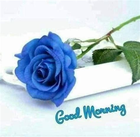 Good Morning Blue Flower Image Good Morning Pictures
