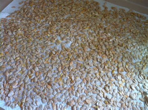 Seed saving and growing techniques for vegetable gardeners. Fall Treat: Roasted Pumpkin Seeds | Value This Life