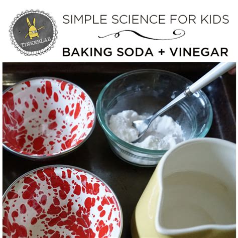 Fun Science Experiments Vinegar And Baking Soda