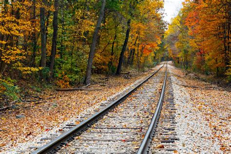 Autumn Railroad Tracks Royalty Free Stock Image Image 35129666