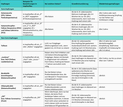 Ein optimaler zeitpunkt für die erste entwurmung des kätzchens liegt in der dritten bis vierten lebenswoche. Katzen impfen: wann, was und wie oft? Umfassende Empfehlungen
