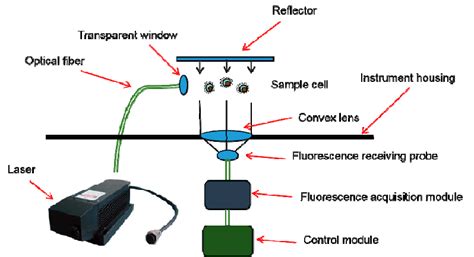Schematic Of A Laser Induced Fluorescence Lif System Download
