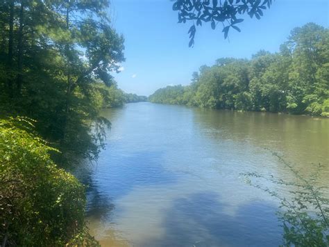 224 acres in Jasper County, Texas