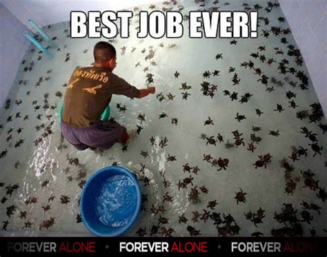 Check spelling or type a new query. I Like Turtles - Forever Alone : Forever Alone