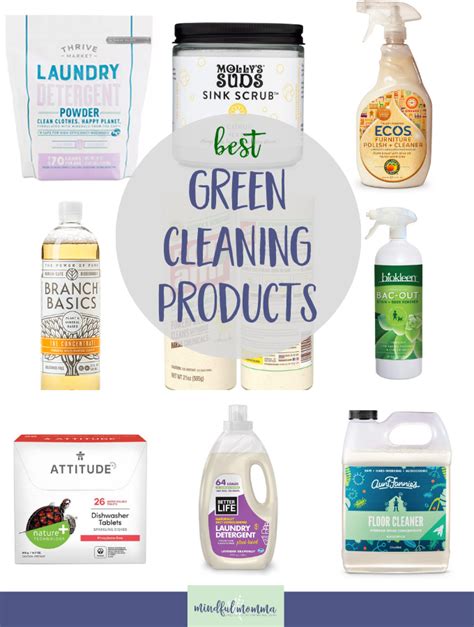 15 Best Eco Friendly Cleaning Products According To Experts