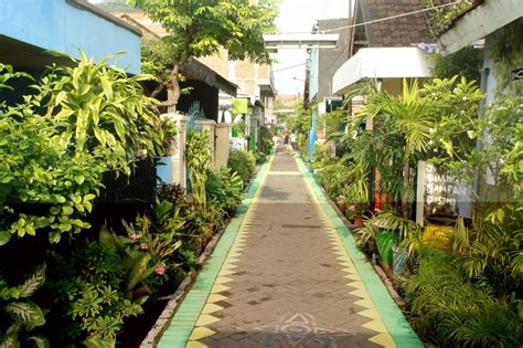 We did not find results for: Penghijauan Kampung dan Kebiasaan Berkebun di Jakarta