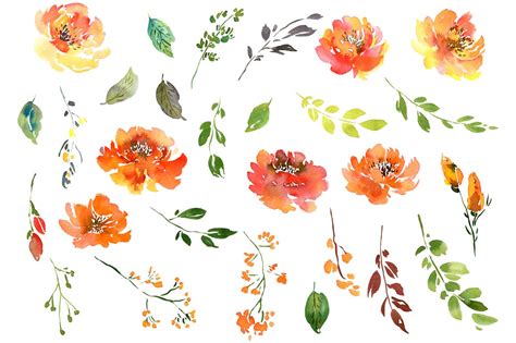 Summer Orange Watercolor Flowers Png Collection 76104 Illustrations