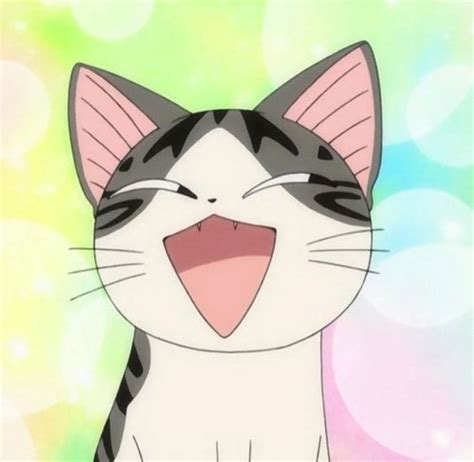 Cute Anime Cat Kitten Whatsupbugs Photo Fanpop