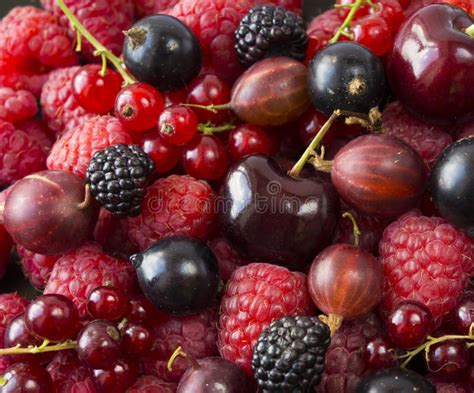 Ripe Raspberries Blackcurrants Blackberries Cherries Red Currants