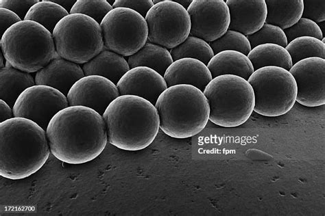 Electron Microscope Atom Photos And Premium High Res Pictures Getty