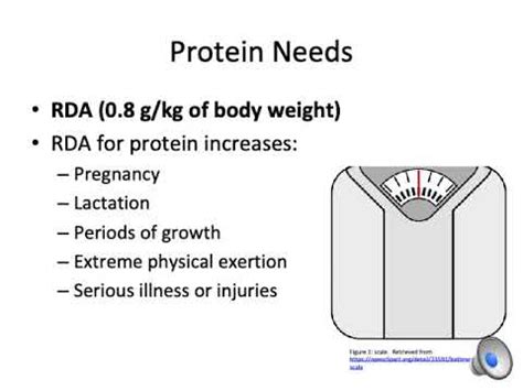 How You Can Calculate Protein Rda Proper Nutrition Nutritionofpower Com