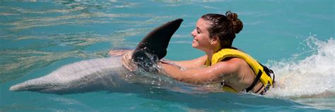 One of the most magical experiences you can have while visiting hawaii is swimming with dolphins in the wild (as opposed to swimming with the company i personally use to swim with dolphins oahu is dolphin excursions and i would highly suggest doing the safari (as they call it) through them. Speed Ride Swimming with Dolphins at Dolphinaris