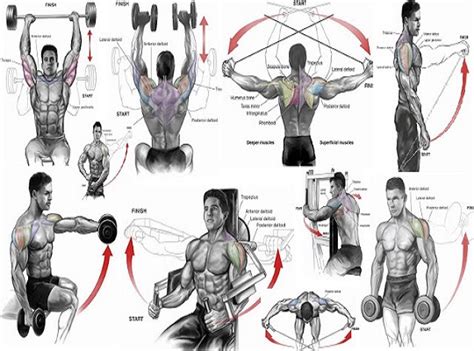 6 Best Shoulder Workouts For Mass