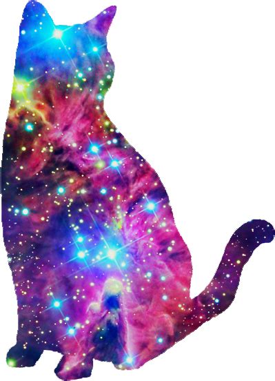Galaxy Cat I Dont Know Why I Like This So Much Haha Things I Love