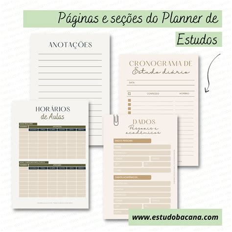 Plano De Estudo Pdf