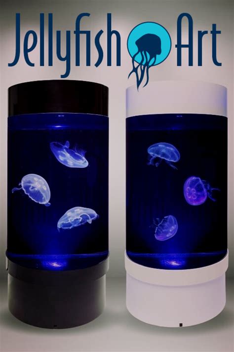 Pet Jellyfish Tank And Everything You Need To Enjoy Them In Your Home