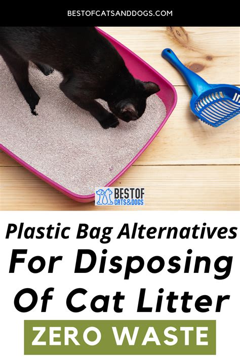 Plastic Bag Alternatives For Disposing Of Cat Litter One Of The Most