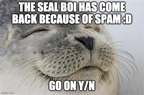Satisfied Seal Meme Imgflip