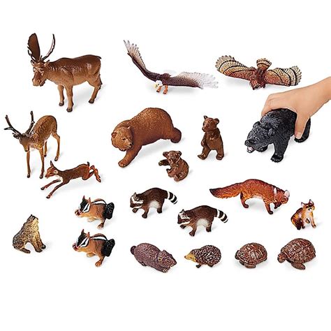 Classic Forest Animal Collection Science From Early Years Resources Uk