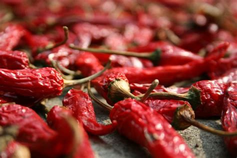 How To Dry Peppers Try These 3 Useful Methods Garden And Happy