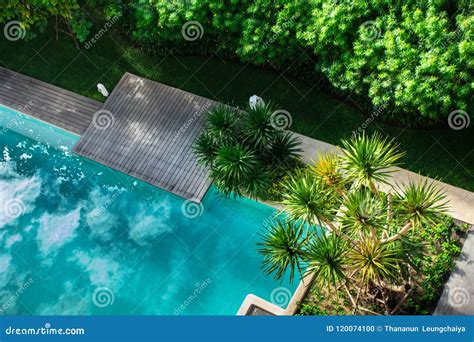 Flatlay Sunbathing Terrace Pool Side Stock Photo Image Of Balcony