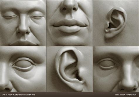 Digital Sculpting Studies Of Female Facial Features By Adrian Spitsa