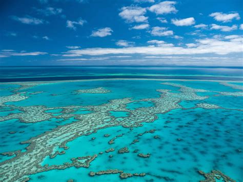 Learn About The Great Barrier Reef Superyacht Great Barrier Reef