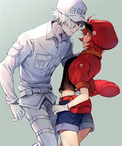 White Blood Cell And Red Blood Cell By Pixiv Id 29419185 Cells At