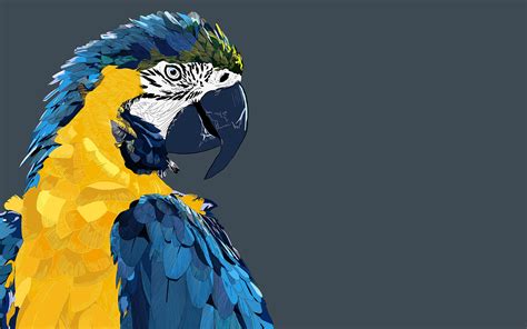 Low Poly Art Macaw Parrot 4k Birds 3d Art Art Wallpaper Birds