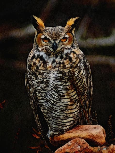 Great Horned Owl Digital Art Digital Art By Ernie Echols Fine Art America