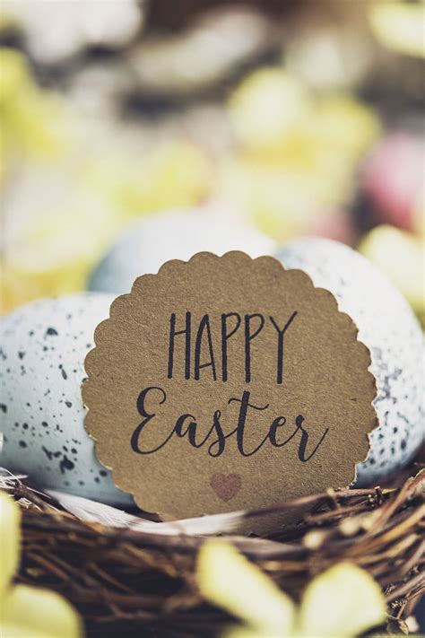 Use this prayer at dinner throughout the easter season!: Feel Blessed This Holy Day With These Beautiful Easter Prayers in 2020 | Easter prayers, Prayers ...