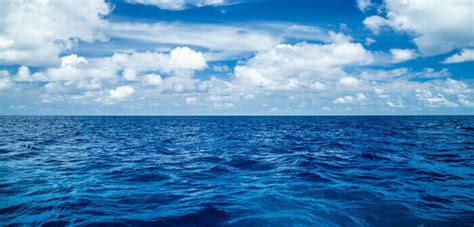 Oggi, 8 giugno 2021, come ogni anno, si celebra la giornata mondiale degli oceani, una occasione per riflettere sulla necessità di interagire con gli oceani in modo sostenibile.mari e oceani occupano il 70 per cento della superficie terrestre, producono più dei 2/3 dell'ossigeno che respiriamo e svolgono un ruolo decisivo nella moderazione del clima del globo. Giornata mondiale degli oceani 8 giugno 2020: tema e ...