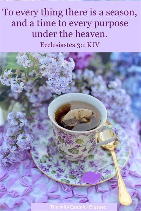 Read the bible in a year 2020 app. God's Timing 💜 in 2020 | Kjv, Read bible, Fill my cup lord
