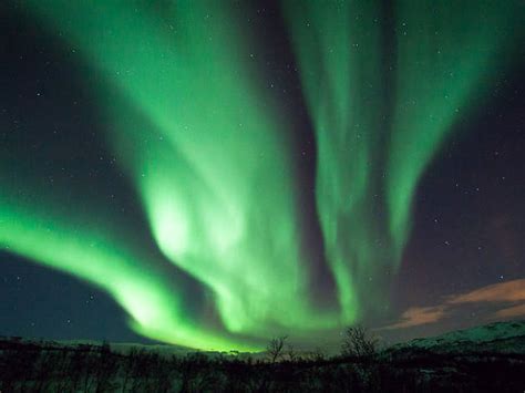 Northern Lights Albany Ny Hours Shelly Lighting