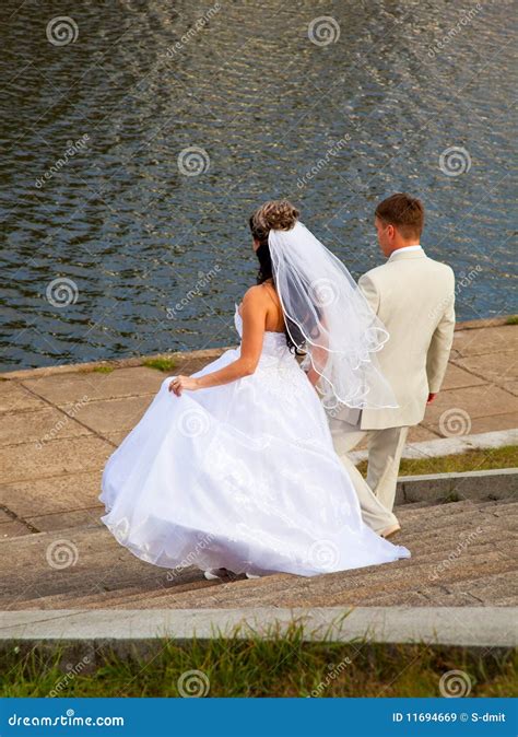 Bride And Bridegroom Stock Image Image Of Husband Loving 11694669