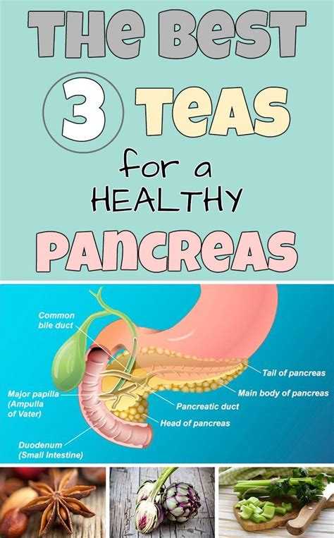 The Best 3 Teas For A Healthy Pancreas Beauty In Love
