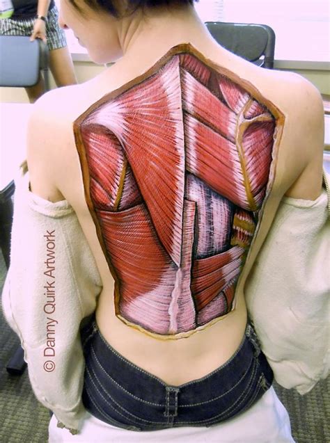 Le body painting anatomique révèlant la biologie sous la peau de Danny Quirk Dessein de dessin
