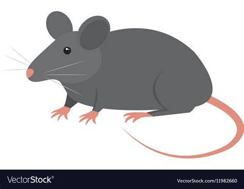 Rat Animal Isolated Icon Royalty Free Vector Image