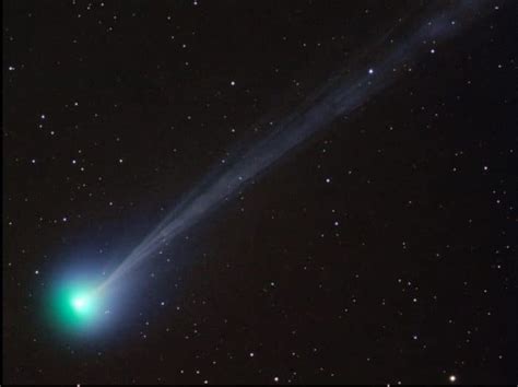 Bright Comet Swan Glides Across The Sky