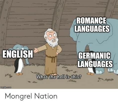 Romance Languages English Germanic Languages What The Hell Is This
