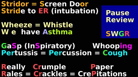 Auscultation of a heart begins with two critical items: Lung Sounds Breath Auscultation Stethoscope Mnemonic ...