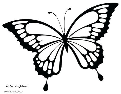 Free printable small butterflies template and coloring pages. Small Butterfly Coloring Pages at GetColorings.com | Free ...