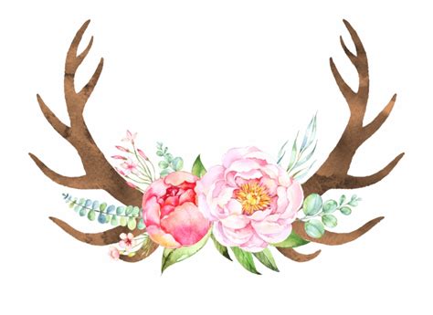 Free Free 174 Svg File Floral Antler Svg Free SVG PNG EPS DXF File