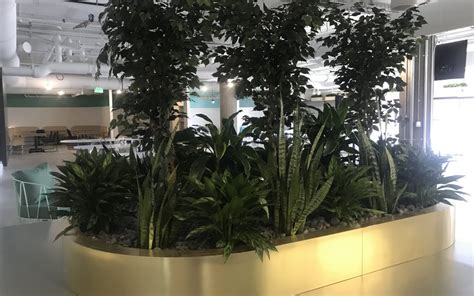 Modern Office Plant Design Office Plants