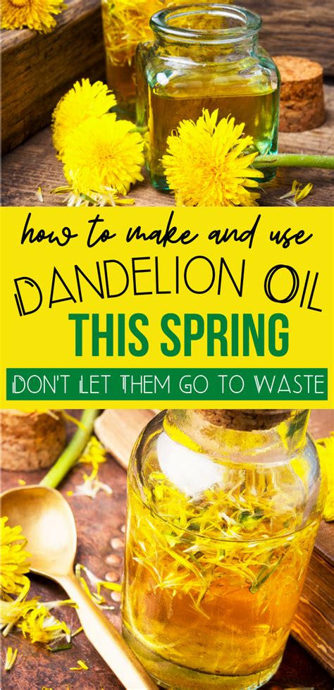 Making And Using Dandelion Oil Artofit