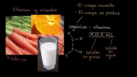 Introducción A Las Vitaminas Y Los Minerales Khan Academy En Español